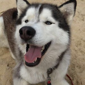 Meet your Posher, Jada